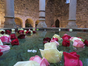 Els Banys &Agrave;rabs
