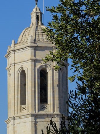 El campanar de la Catedral des de la Caserna dels Alemanys