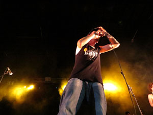 Fires de Sant Narcís 2014. Actuació de Bonobos