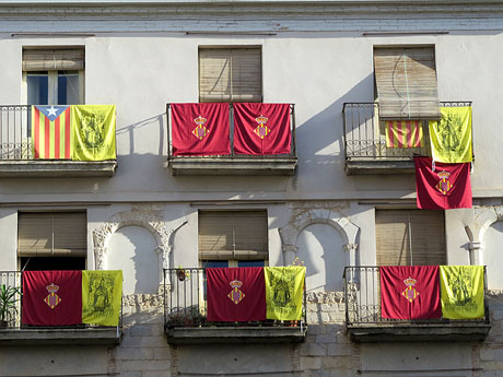 Fires de Sant Narcís 2014. Miscel·lània d'imatges