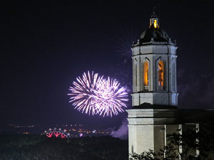 Fires de Sant Narcís 2014. Castell de focs artificials