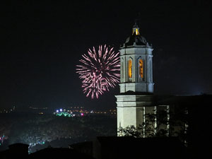 Fires de Sant Narcís 2014. Castell de focs artificials