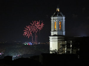 Fires de Sant Narcís 2014. Castell de focs artificials