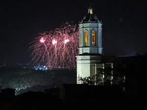 Fires de Sant Narcís 2014. Castell de focs artificials