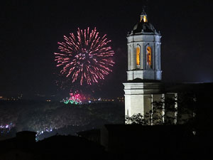 Fires de Sant Narcís 2014. Castell de focs artificials