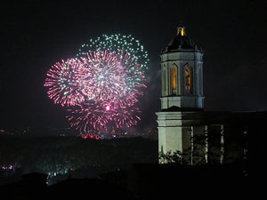 Fires de Sant Narc&iacute;s 2014. Castell de focs artificials