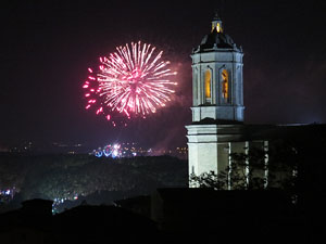Fires de Sant Narc&iacute;s 2014. Castell de focs artificials