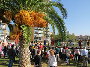 Fires de Girona 2014. La trobada de gegants: la cercavila