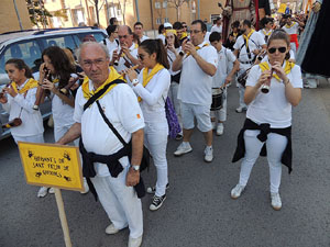Fires de Girona 2014. La trobada de gegants: la cercavila