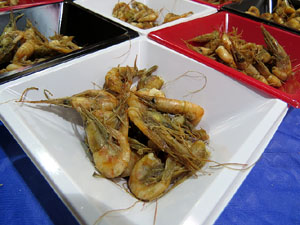 Girona10. Mercat del Lle&oacute;. Tastets gastron&ograve;mics