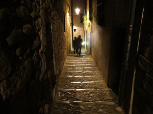 Nadal 2014 a Girona. Miscel·lània d'imatges