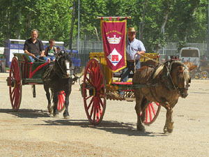 La Cavalcada de Sant Antoni 2015