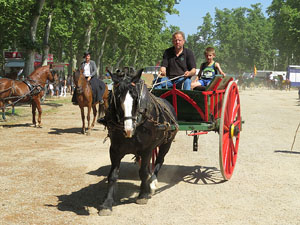 La Cavalcada de Sant Antoni 2015
