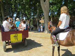 La Cavalcada de Sant Antoni 2015