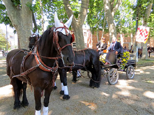 La Cavalcada de Sant Antoni 2015