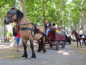 La Cavalcada de Sant Antoni 2015