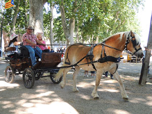 La Cavalcada de Sant Antoni 2015