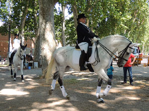 La Cavalcada de Sant Antoni 2015