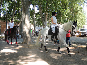 La Cavalcada de Sant Antoni 2015
