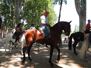 La Cavalcada de Sant Antoni 2015