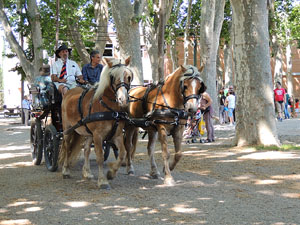 La Cavalcada de Sant Antoni 2015