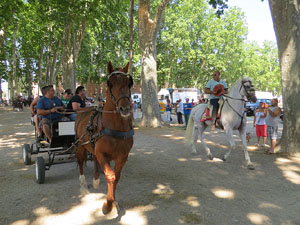 La Cavalcada de Sant Antoni 2015