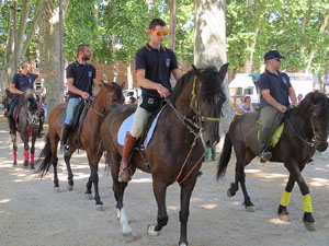 La Cavalcada de Sant Antoni 2015