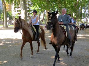 La Cavalcada de Sant Antoni 2015