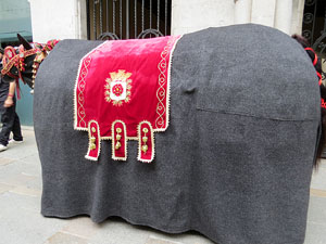 Festes de Primavera de Girona 2015. Presentaci&oacute; de la Mula Baba