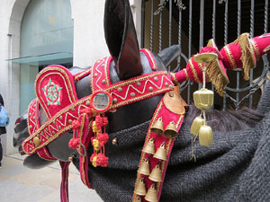 Festes de Primavera de Girona 2015. Presentaci&oacute; de la Mula Baba