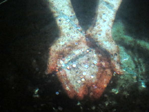  2n Festival Internacional de Mapping de Girona 2015