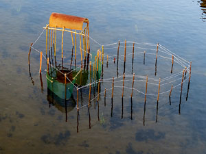 Festival inund'ART 2015. X Trobada i Mostra d'art multidisciplinari
