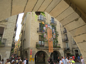 Temps de Flors 2015. La plaça del Vi, l'Ajuntament i el Teatre Municipal