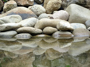 Temps de Flors 2015. Jardins de l'&Agrave;ngel i de John Lennon