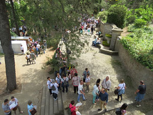 Temps de Flors 2015. El Passeig Arqueol&ograve;gic