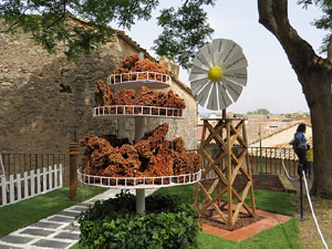 Temps de Flors 2015. El Passeig Arqueol&ograve;gic