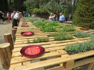 Temps de Flors 2015. El Passeig Arqueol&ograve;gic
