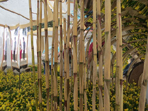 Temps de Flors 2015. El Passeig Arqueol&ograve;gic