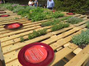 Temps de Flors 2015. El Passeig Arqueol&ograve;gic