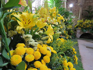 Temps de Flors 2015. Els Banys Àrabs