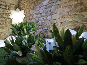 Temps de Flors 2015. Els Banys Àrabs