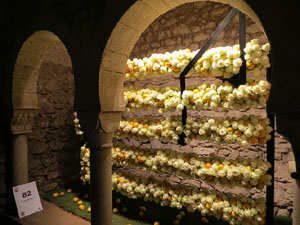 Temps de Flors 2015. Els Banys Àrabs