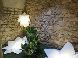 Temps de Flors 2015. Els Banys Àrabs