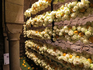 Temps de Flors 2015. Els Banys Àrabs