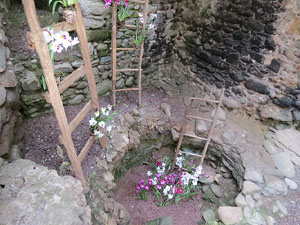 Temps de Flors 2015. Els Banys Àrabs