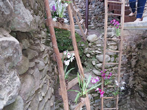 Temps de Flors 2015. Els Banys Àrabs