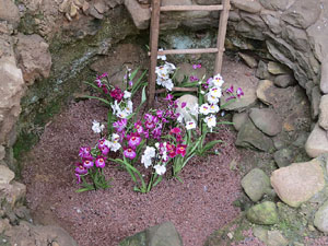 Temps de Flors 2015. Els Banys Àrabs