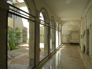 Temps de Flors 2015. Palaus, patis i espais del carrer Ciutadan