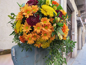 Temps de Flors 2015. Palaus, patis i espais del carrer Ciutadan