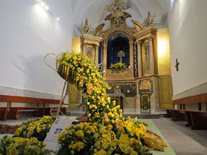 Temps de Flors 2015. Palaus, patis i espais del carrer Ciutadan